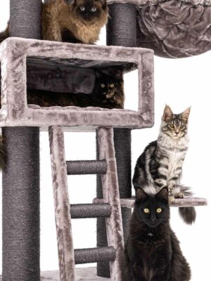 2 Petrebels Stark Katzen: Robust für Kratzbaum - &