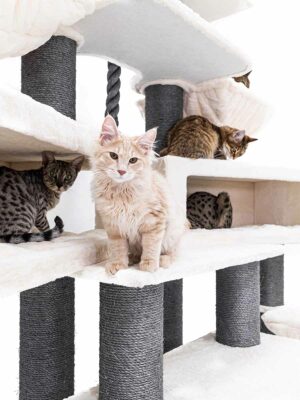 Kratzbaum Alley 200 - Off White - 15 cm Stamm - XXL – für mehrere Katzen