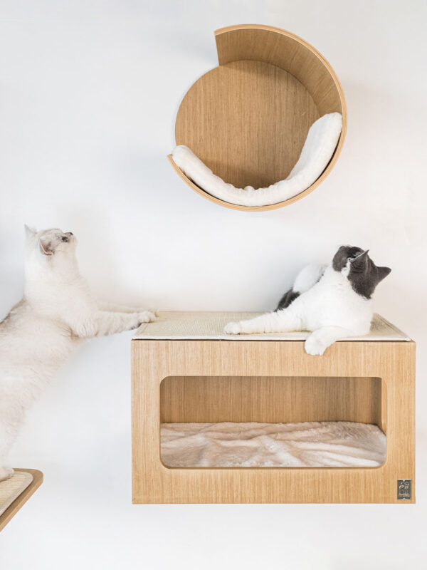 Kattenmuur Moon 40