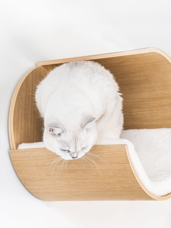 Kattenmuur Moon 40