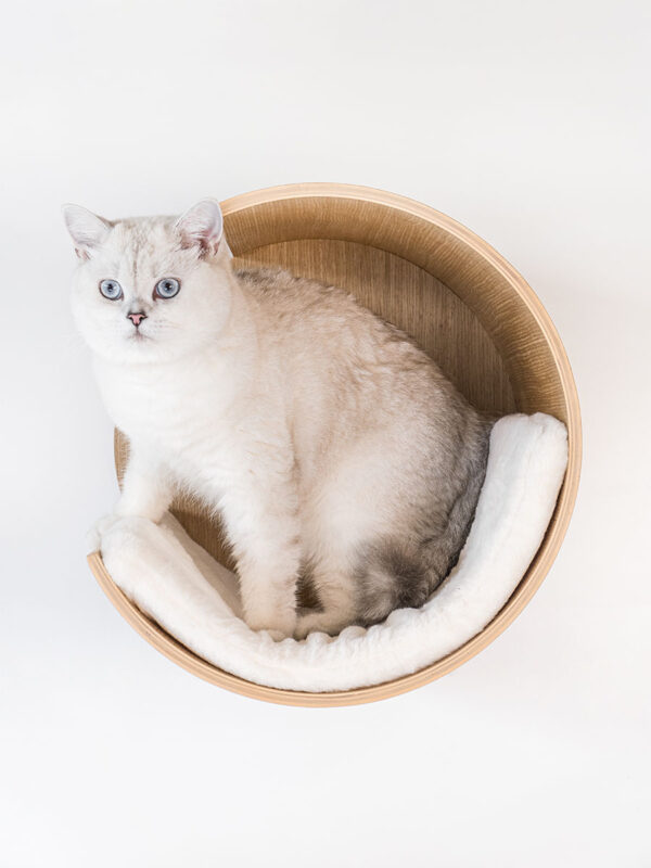 Kattenmuur Moon 40