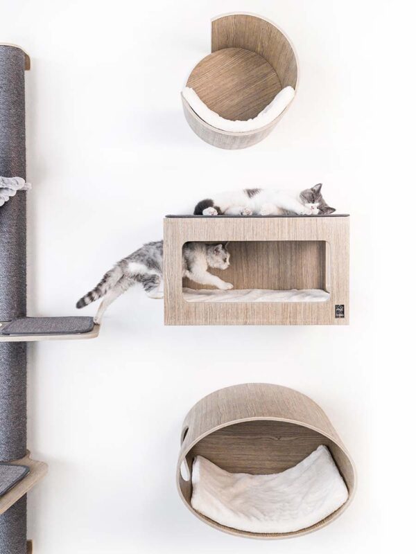 Kattenmuur Level 40