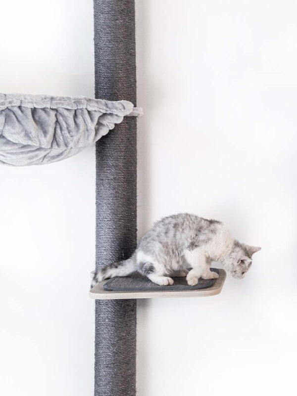 Kattenmuur Level 40