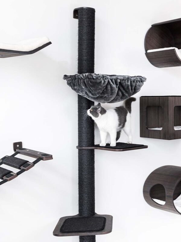 Kattenmuur Climb 1560 set