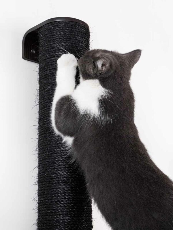 Kattenmuur Climb 1560 set