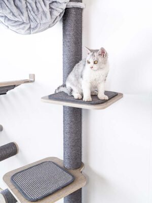 WandKratzbaum Level 35 - Old Grey - Wandbefestigung - design
