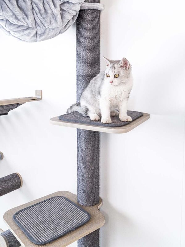 Kattenmuur Level 40