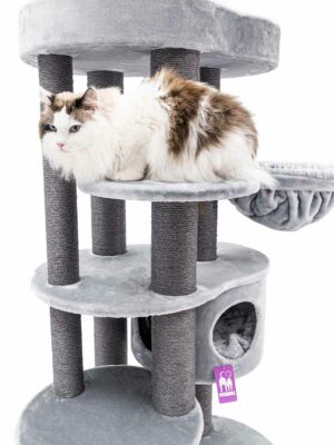 Kratzbaum Isabella 170 - Grey - 9 und 12 cm Stamm - XXL