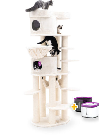 Kratzbaum Isabella 210 - Cream - 12 cm Stamm - XXL