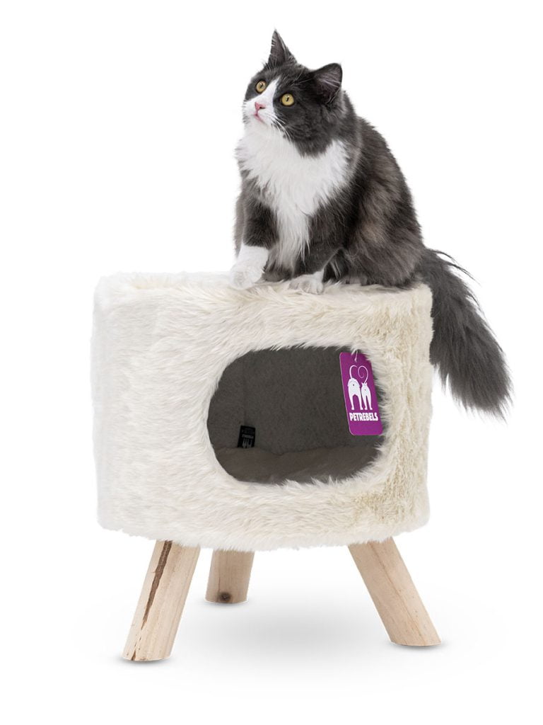 Wie man einer Katze beibringt, den Kratzbaum zu benutzen
