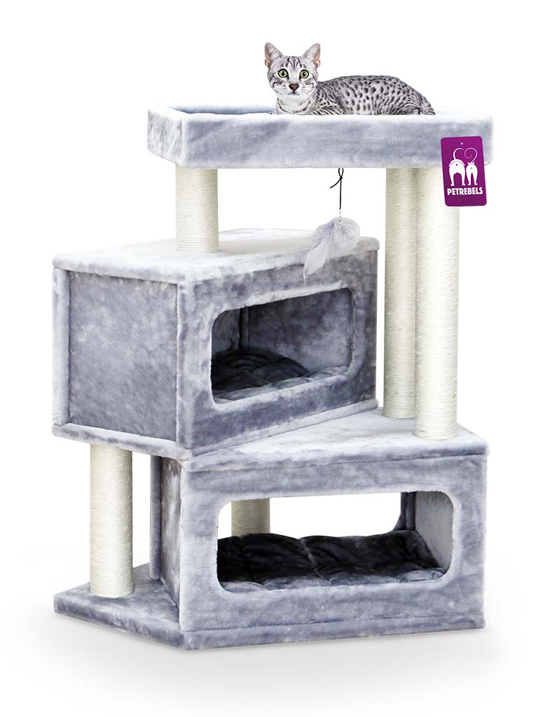 Katze auf Villa 100 graue Petrebels