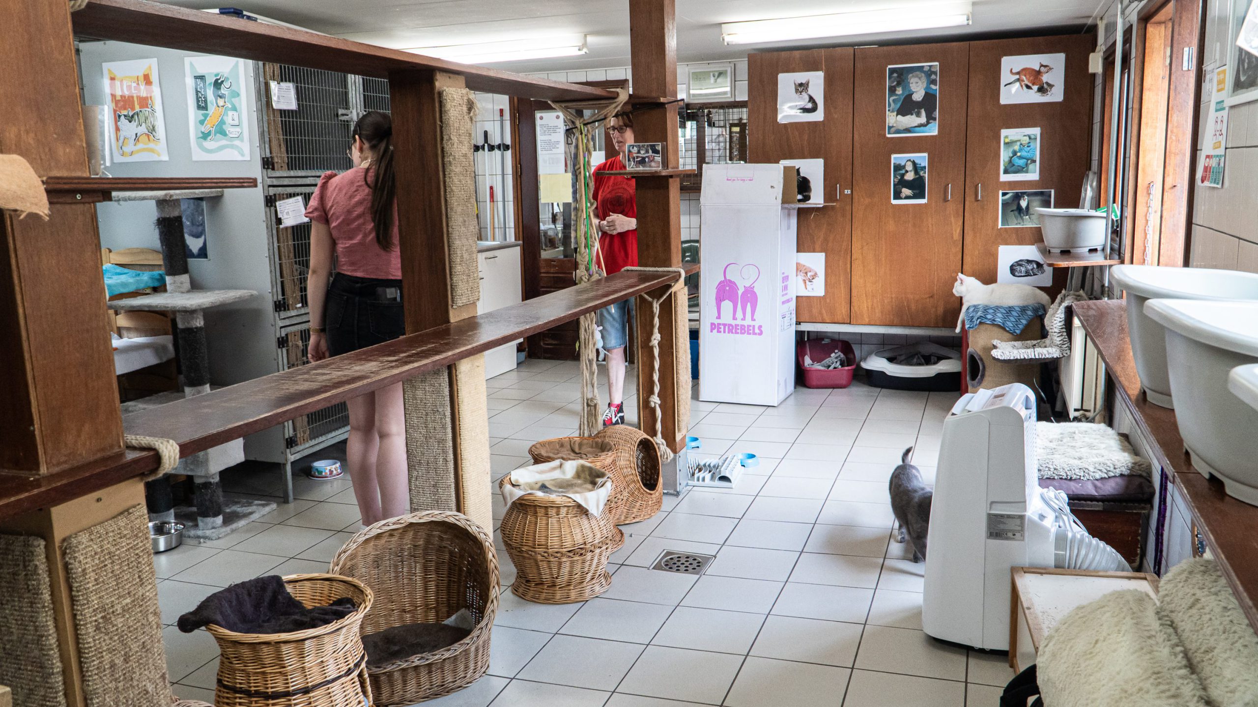 Het interieur van de Poezenboot