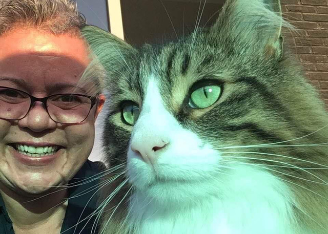 jeanette mit norwegischer waldkatze