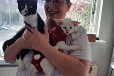 Bianca und ihre Katzen