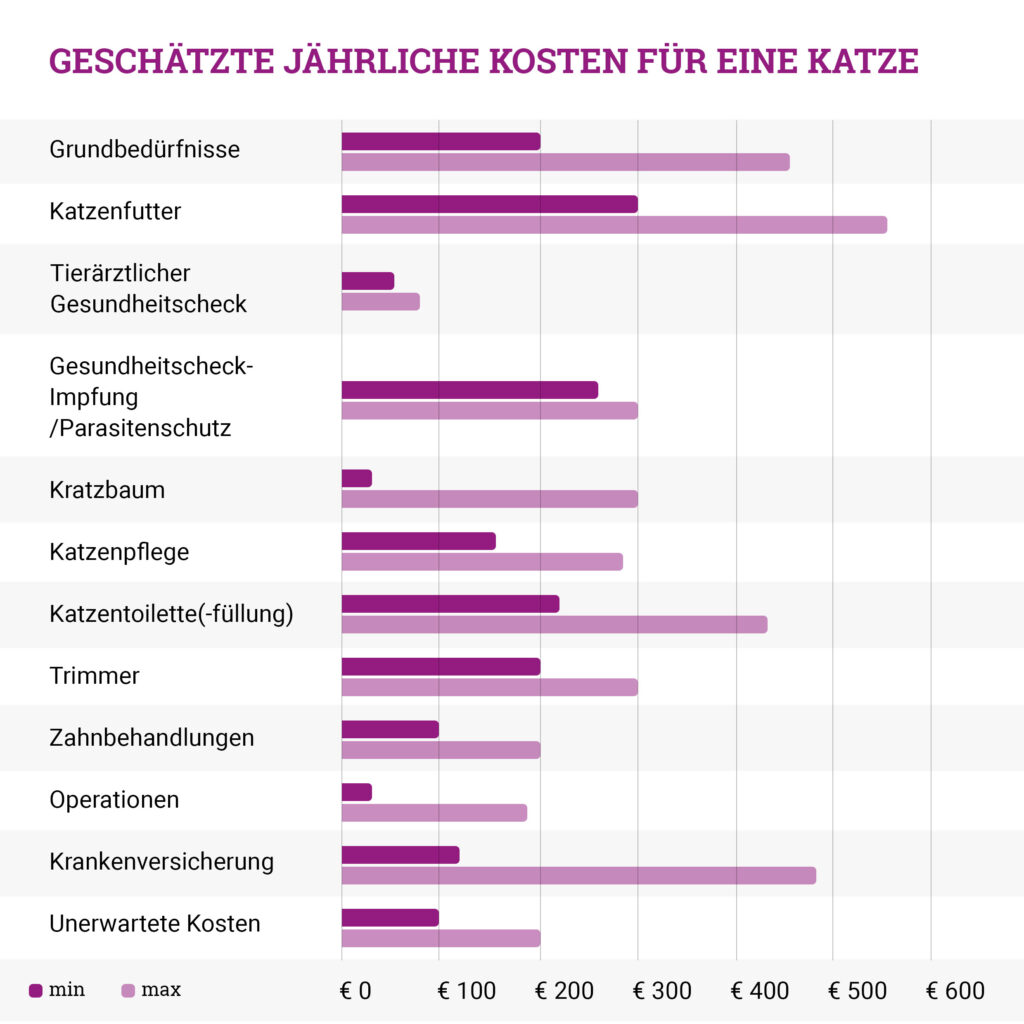 Möchten Sie eine Katze haben? Erfahren Sie hier, was es kostet! Petrebels