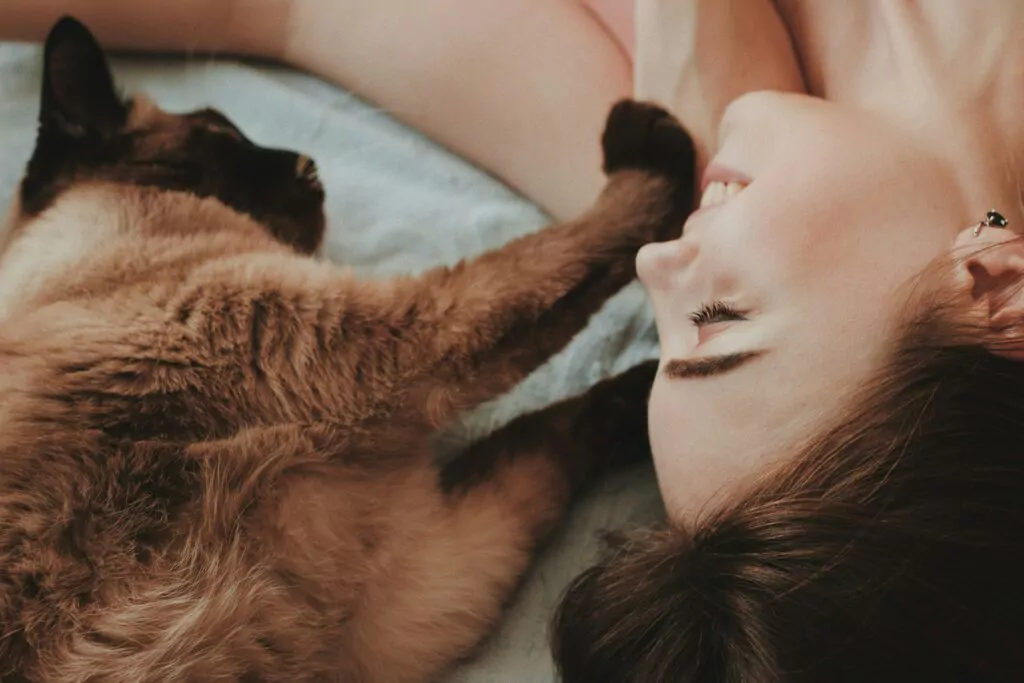 Katze mit Frau