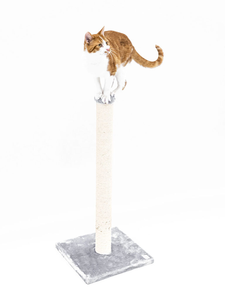 Cat tree Maine 90 Petrebels