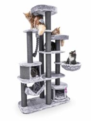 Cat tree Scenic View 197