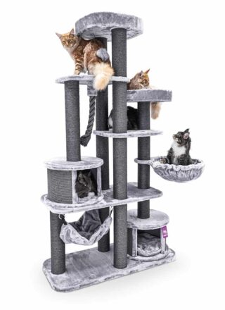 Cat tree Scenic View 197