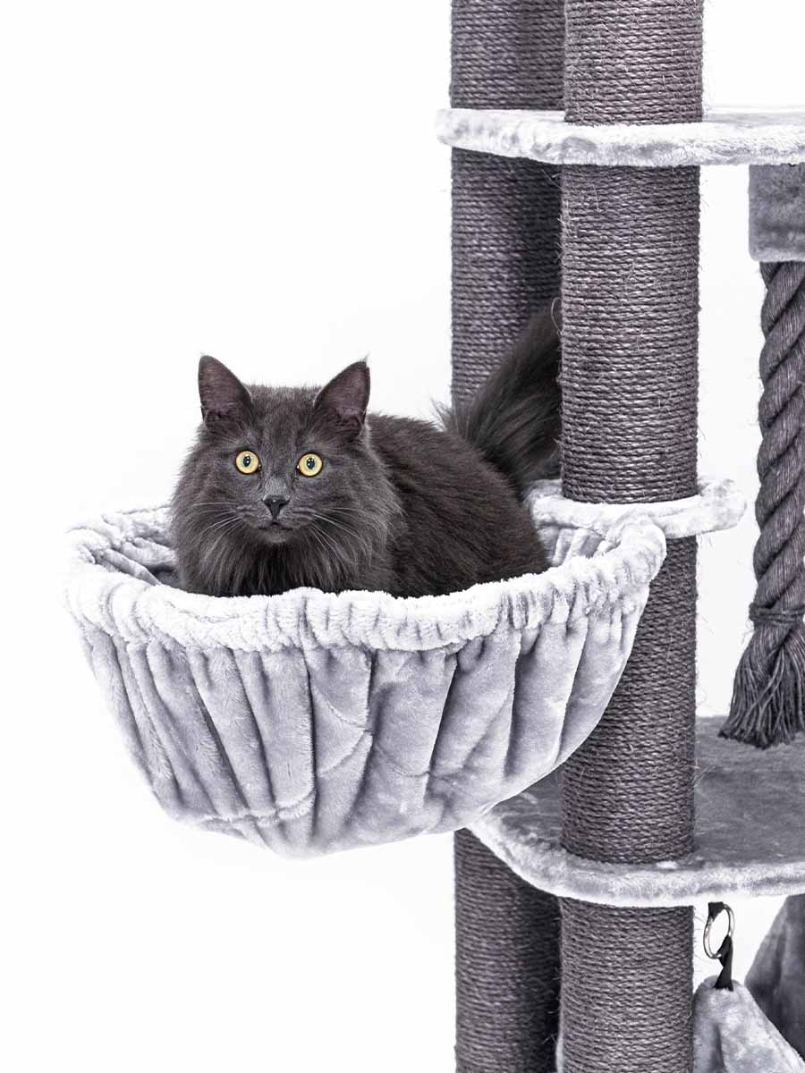 Cat hammock for deals large cats