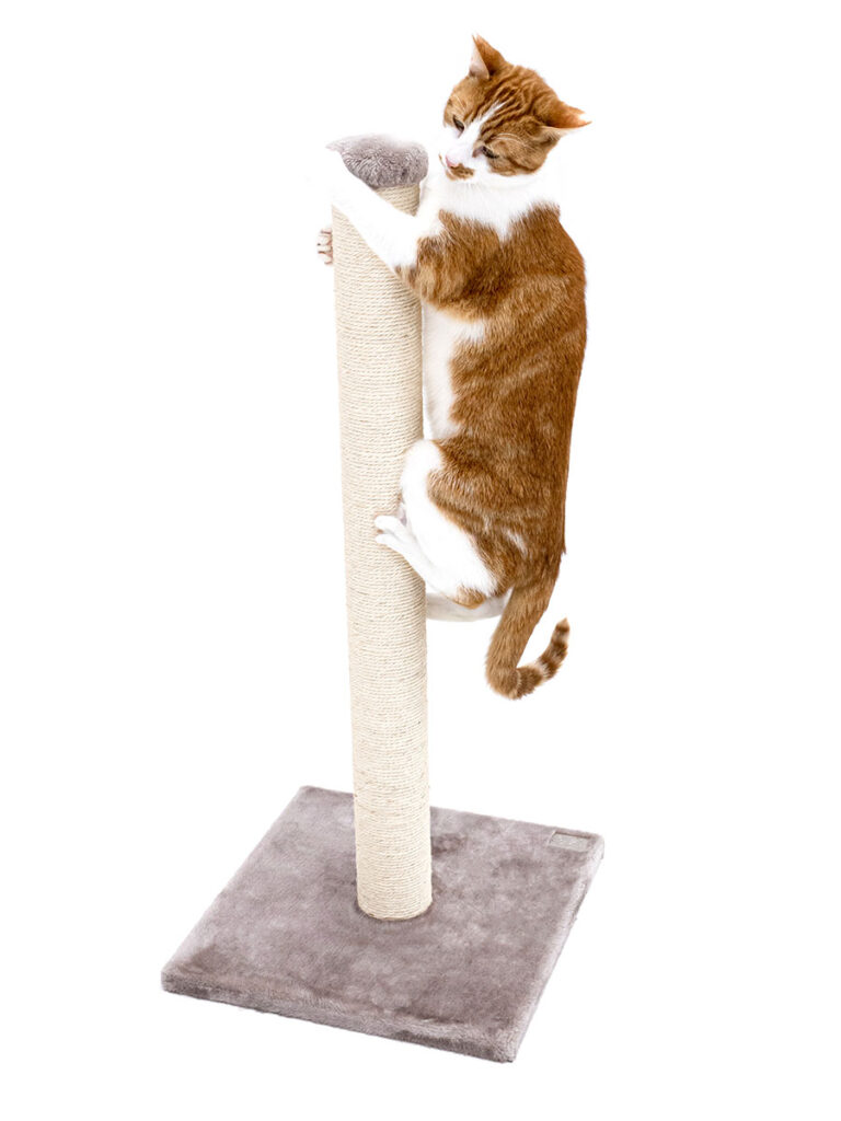 Cat tree Maine 90 Petrebels