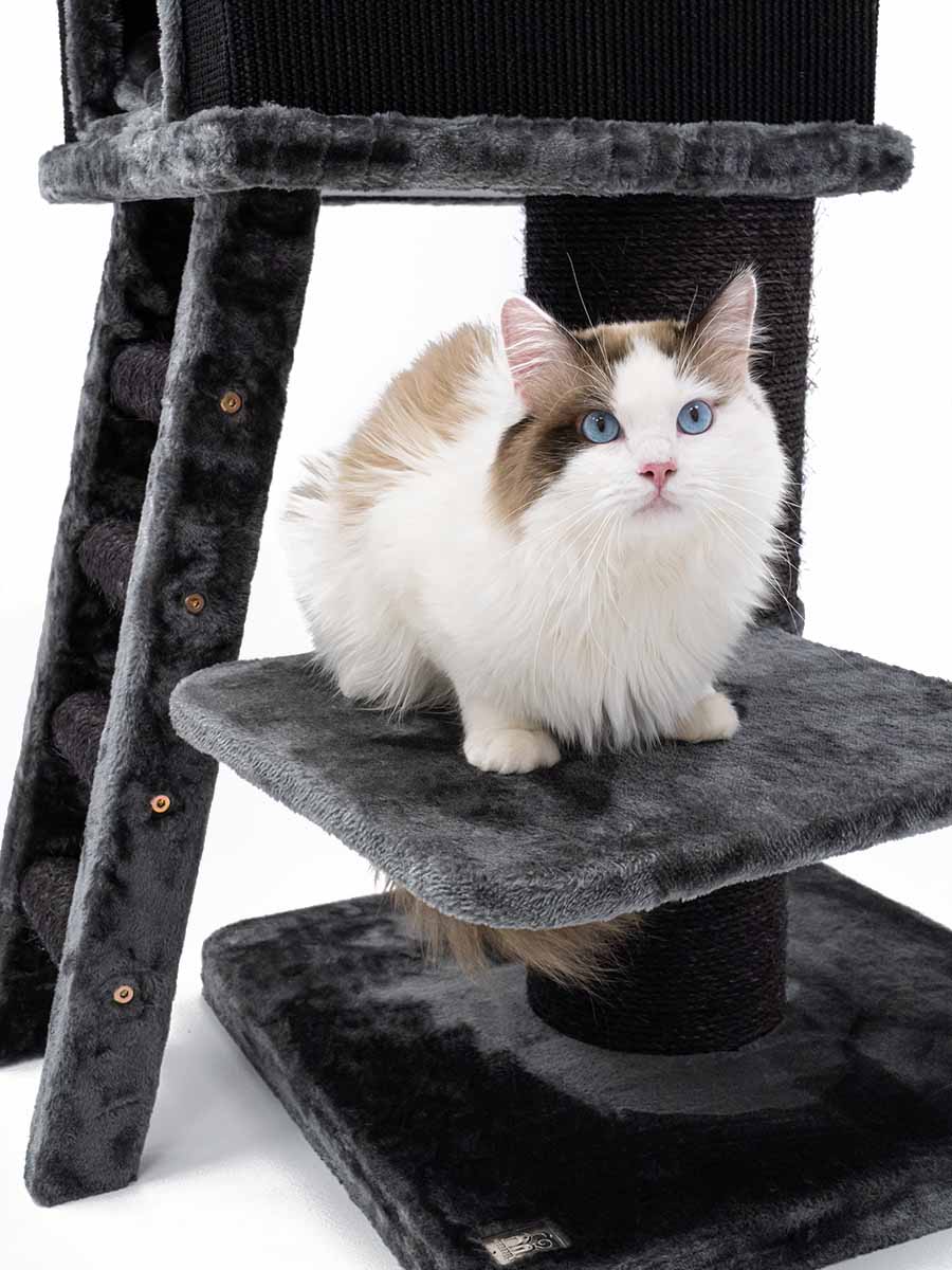 Cat sales tree jysk