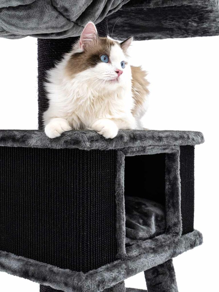 Cat tree Ragdoll 180 Petrebels