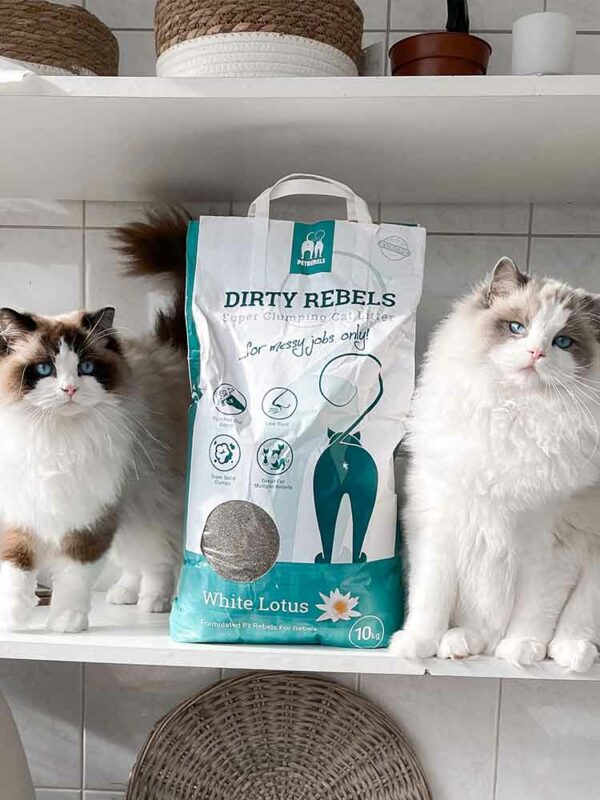 Kattenbakvulling 10L White Lotus - 2-pack