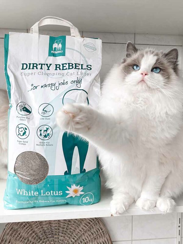 Kattenbakvulling 10L White Lotus - 2-pack