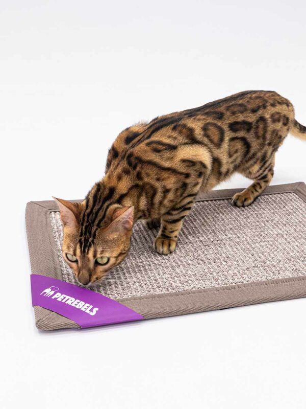 Mastermat 60