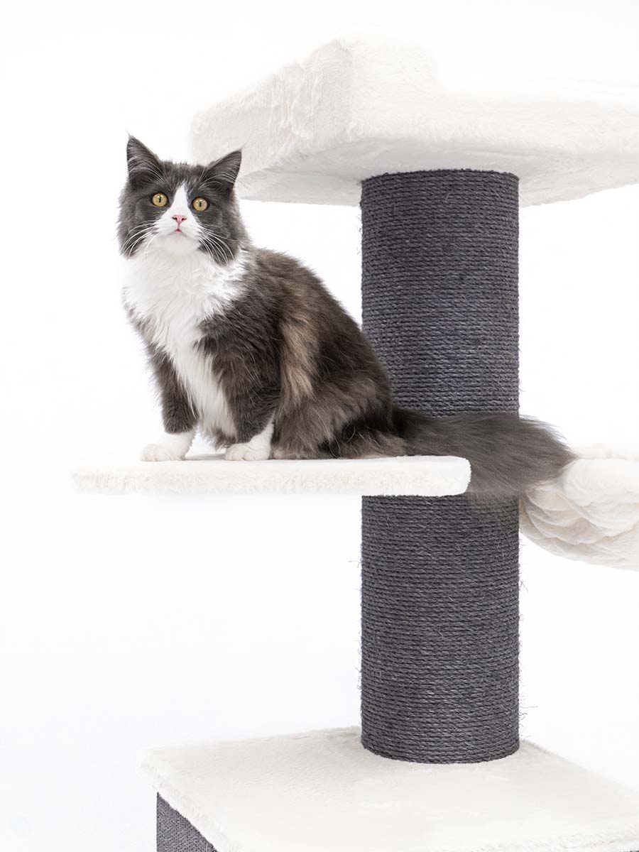 Cat sales tree jysk