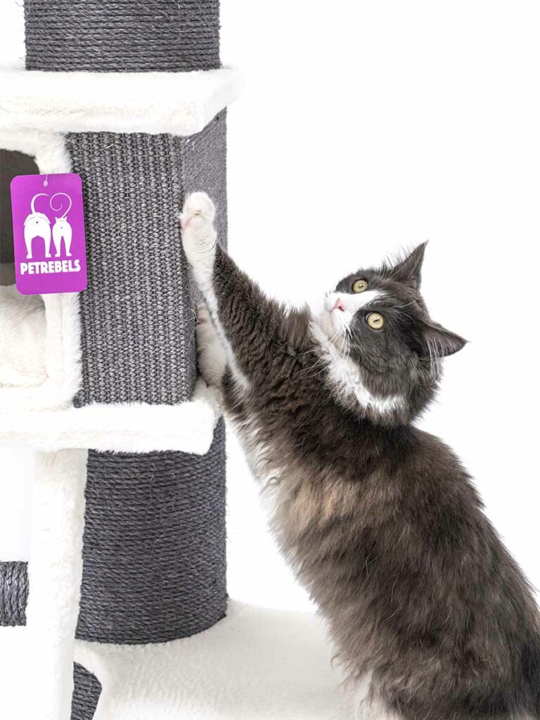 Cat tree Ragdoll 180 Petrebels