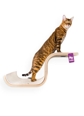 Cat Shelves Scratch 70