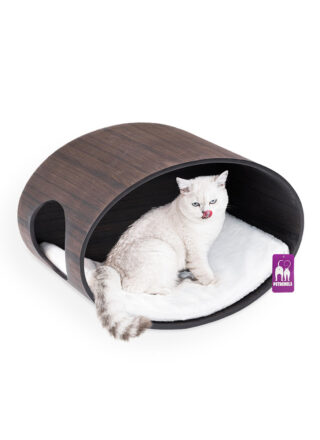 Cat Shelves Oval Office 60