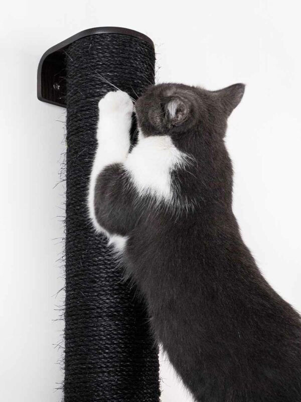 Kattenmuur Climb 1250 set