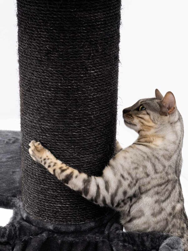 Kattenmuur Post 2080 Black
