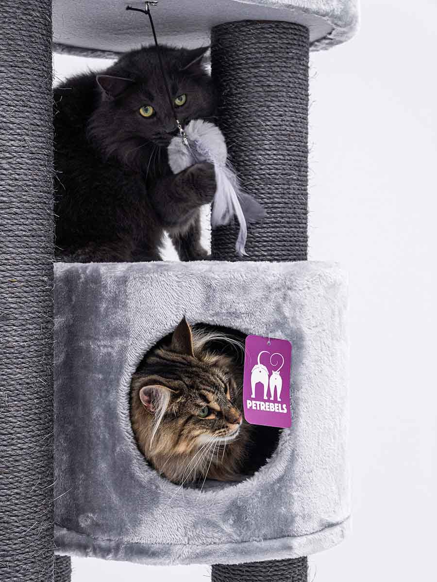 Funky cat scratching post sale