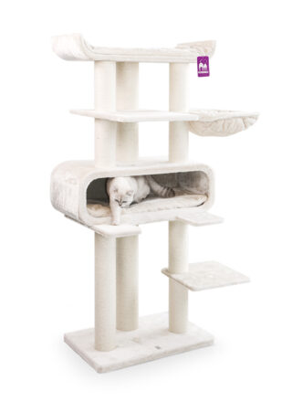 Cat tree Route 180