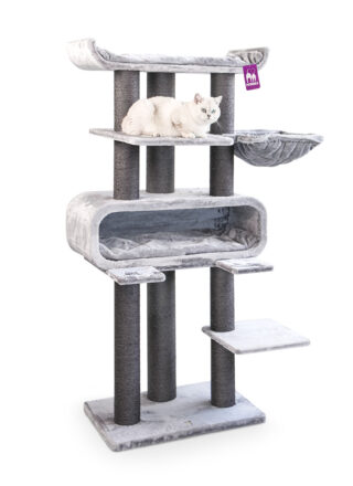 Cat tree Route 180