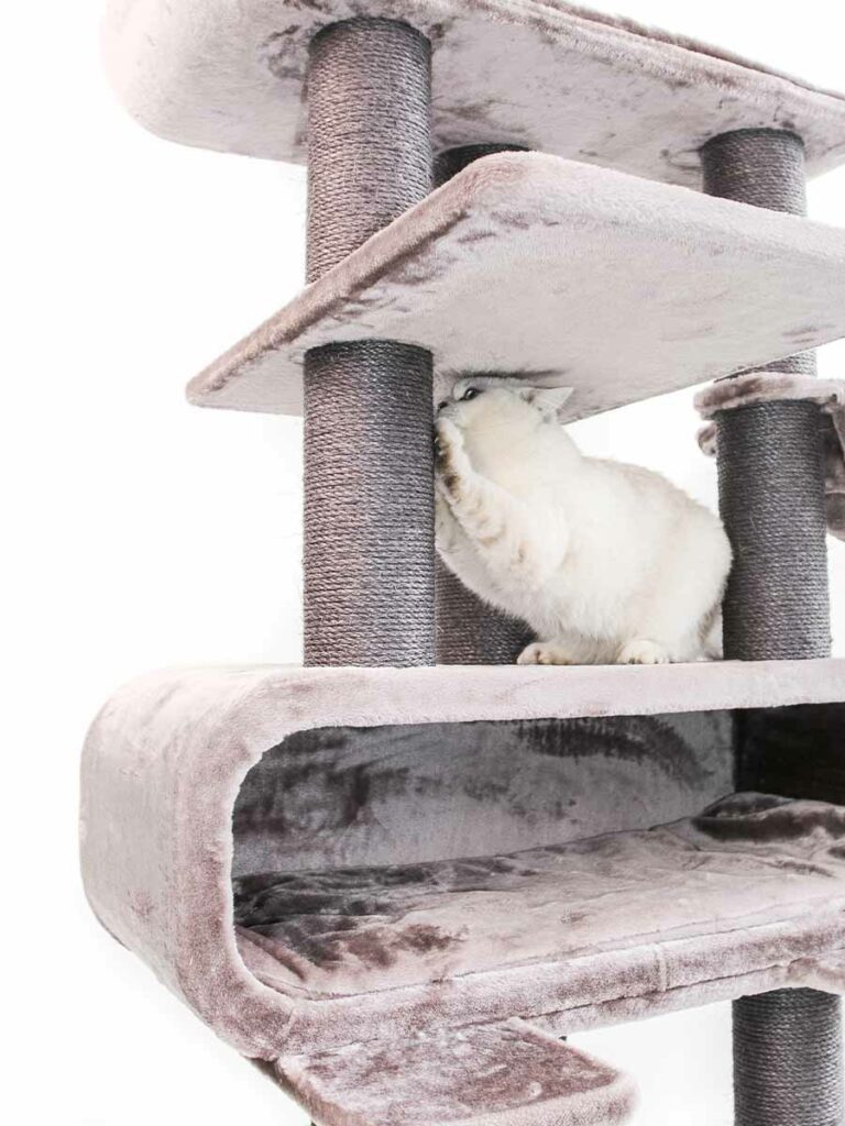 Cat tree Route 180 Petrebels