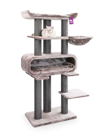 Cat tree Route 180