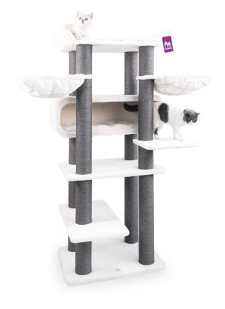 Cat tree Route 190