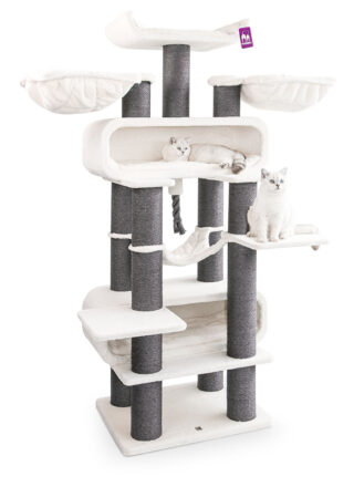 Cat tree Route 210