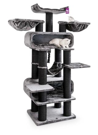 Cat tree Route 210