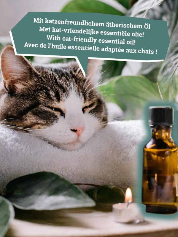Kattenbakvulling Natural-Wellness Meadow Breeze - 12-pack