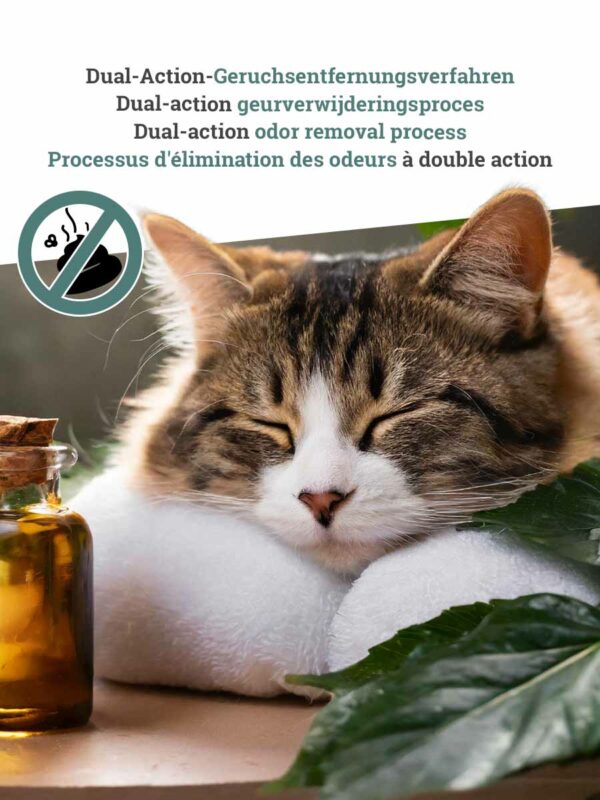 Kattenbakvulling Natural-Wellness Meadow Breeze - 12-pack