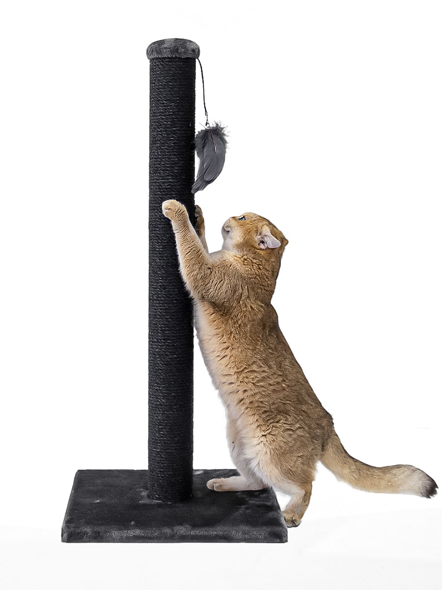 Cat tree Maine 90 deluxe - Petrebels