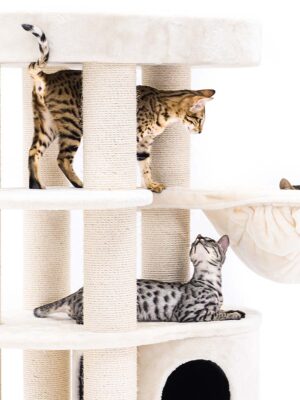 Cat tree Isabella 170 - Cream - 9 and 12 cm post - XXL