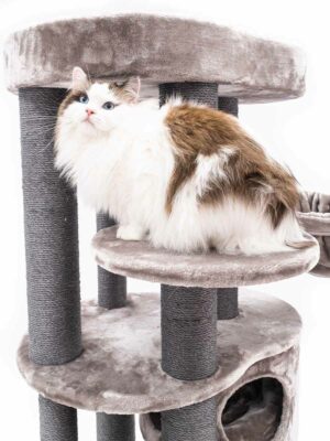 Cat tree Isabella 170 - Cappuccino - 9 and 12 cm post - XXL