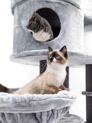 Cat tree Isabella 210 - Grey - 12cm Post - XXL